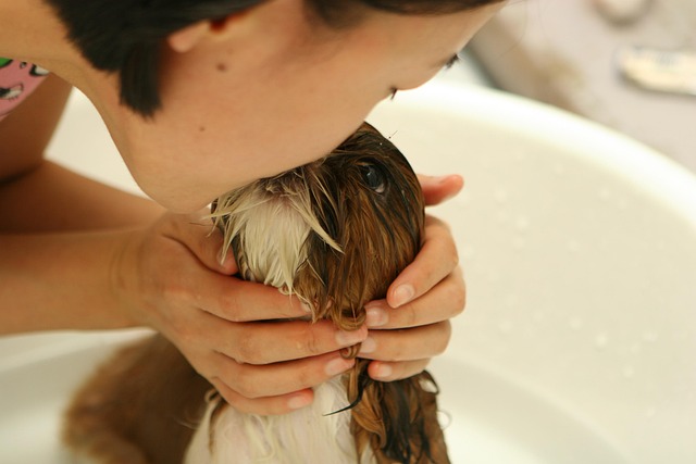 Wide grooming studio image with cozy pet care atmosphere